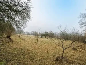 Prodej komerčního pozemku, Letovice, Nádražní, 3080 m2