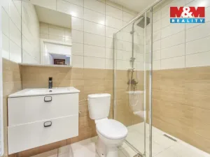 Prodej rodinného domu, Chotěšov, Starý mlýn, 353 m2