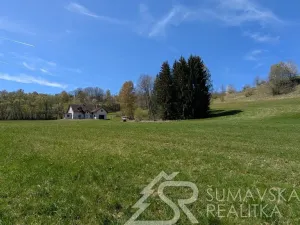 Prodej pozemku, Hartmanice - Chlum, 46489 m2