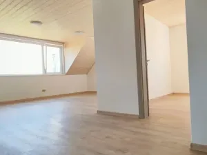 Pronájem bytu 2+kk, Bystřice, 84 m2