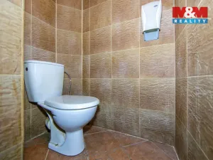 Prodej obchodního prostoru, Plzeň - Jižní Předměstí, Klatovská třída, 111 m2