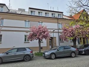 Prodej atypického bytu, Plzeň, Habrmannovo náměstí, 95 m2