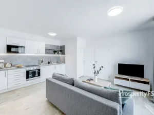 Pronájem bytu 2+kk, Brno - Dolní Heršpice, Havránkova, 43 m2