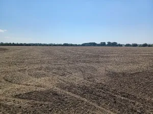 Prodej pozemku pro bydlení, Horka nad Moravou, 43000 m2