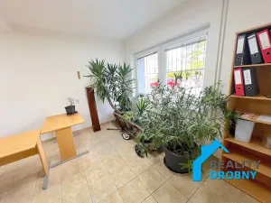 Pronájem kanceláře, Děčín, Družstevní, 19 m2