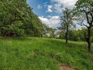 Prodej pozemku pro bydlení, Veliny, 1236 m2