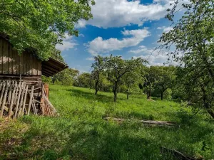 Prodej pozemku pro bydlení, Veliny, 1236 m2