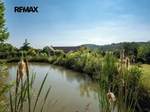 Prodej vícegeneračního domu, Předenice, 399 m2