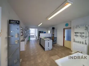 Prodej obchodního prostoru, Nový Jičín, Hřbitovní, 726 m2