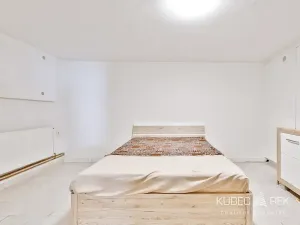 Prodej obchodního prostoru, Kamenice nad Lipou, Dobšova, 270 m2