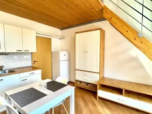 Pronájem bytu 1+kk, Praha - Libeň, Novákových, 24 m2