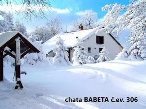 Prodej - jiné, Telnice, 323 m2