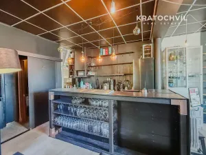Pronájem obchodního prostoru, Jesenice, Na Ochoze, 48 m2