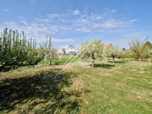 Prodej pozemku pro bydlení, Brázdim, 503 m2