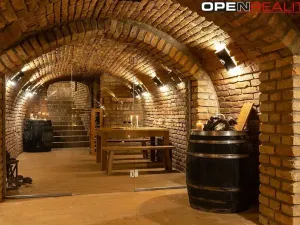 Prodej vícegeneračního domu, Dolní Bojanovice, Vinařská, 367 m2