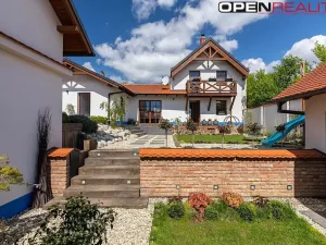 Prodej vícegeneračního domu, Dolní Bojanovice, Vinařská, 367 m2