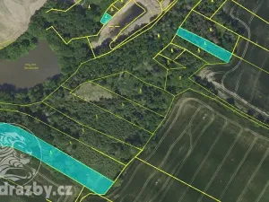 Prodej lesa, Chotýšany, 21423 m2