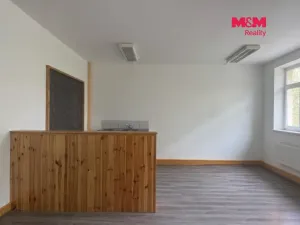 Pronájem obchodního prostoru, Havířov - Město, Mickiewiczova, 40 m2