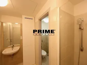 Pronájem bytu 5+1, Praha - Smíchov, Štefánikova, 168 m2