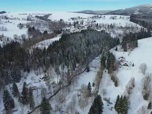 Prodej pozemku pro bydlení, Říčky v Orlických horách, 5940 m2