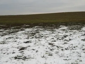 Dražba louky, Račice nad Trotinou, 18528 m2