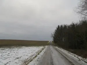 Dražba louky, Račice nad Trotinou, 18528 m2