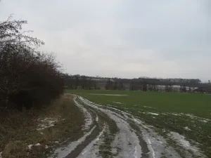 Dražba louky, Račice nad Trotinou, 18528 m2