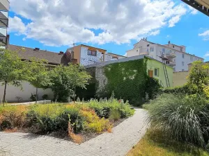 Pronájem bytu 2+kk, Brno - Královo Pole, Kollárova, 85 m2