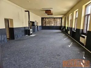 Prodej obchodního prostoru, Uherský Brod, Pod Dvorkem, 263 m2