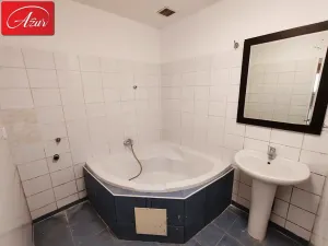 Prodej bytu 3+1, Teplice, U Hadích lázní, 107 m2