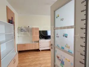 Prodej bytu 3+1, Ostrov, Hlavní třída, 76 m2