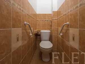 Pronájem bytu 2+1, Praha - Žižkov, Loudova, 61 m2