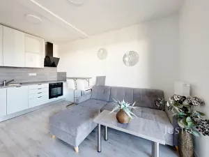 Pronájem bytu 1+kk, České Budějovice, Vrbenská, 32 m2