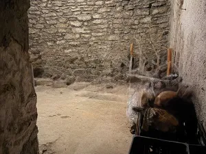 Pronájem obchodního prostoru, Kutná Hora, Václavské náměstí, 270 m2