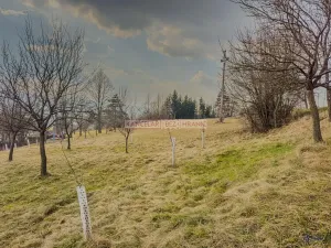 Prodej pozemku pro bydlení, Žítková, 1092 m2