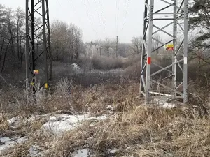 Prodej lesa, Řípec, 27546 m2