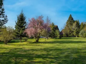 Prodej rodinného domu, Žandov, 289 m2