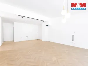 Prodej bytu 3+kk, Ostrava - Radvanice, Dvořáčkova, 100 m2