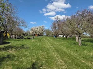 Prodej zahrady, Křenovice, 4967 m2