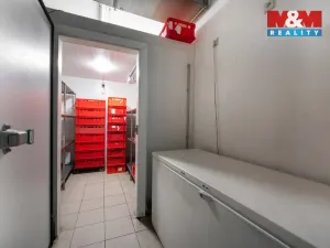 Prodej rodinného domu, Ústí nad Orlicí, Královéhradecká, 290 m2