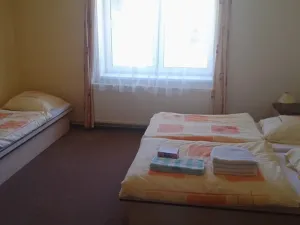 Prodej rodinného domu, Zásada, 600 m2