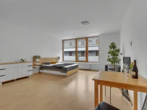 Pronájem bytu 1+kk, Hradec Králové, Kollárova, 46 m2