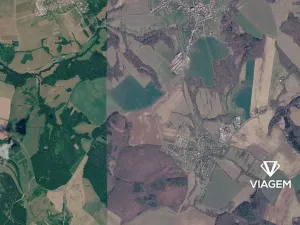 Prodej podílu pole, Dobrkovice, 1011 m2