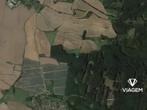 Prodej lesa, Dolní Bousov, 845 m2