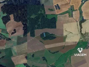 Prodej lesa, Hradiště, 2578 m2