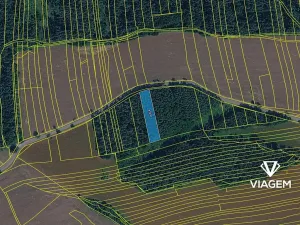 Prodej lesa, Hradiště, 2578 m2