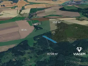 Prodej lesa, Hradiště, 12138 m2
