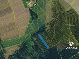 Prodej lesa, Hradiště, 12138 m2