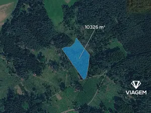 Prodej lesa, Hradiště, 10326 m2