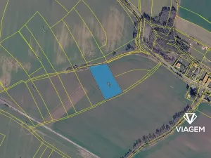 Prodej pole, Prusice, 5978 m2